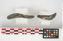 Foto von Bronzering (NHMW-PRAE-026327)